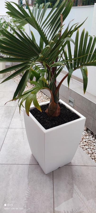 Luxury Townhouse Apartment Costa Adeje  Luaran gambar