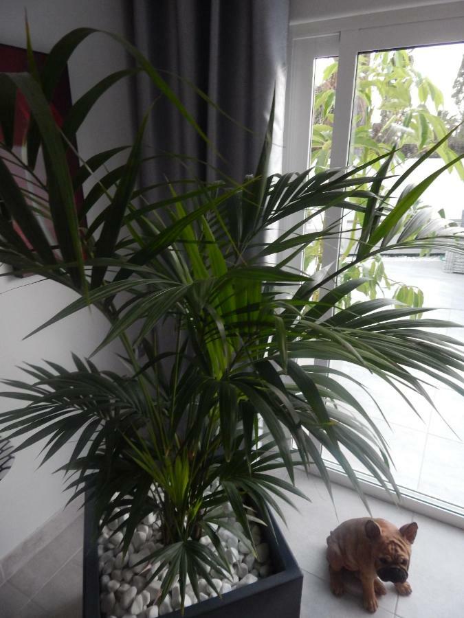 Luxury Townhouse Apartment Costa Adeje  Luaran gambar